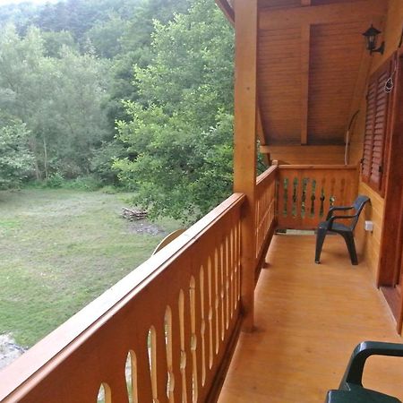 Chalet By The River Văliug 外观 照片