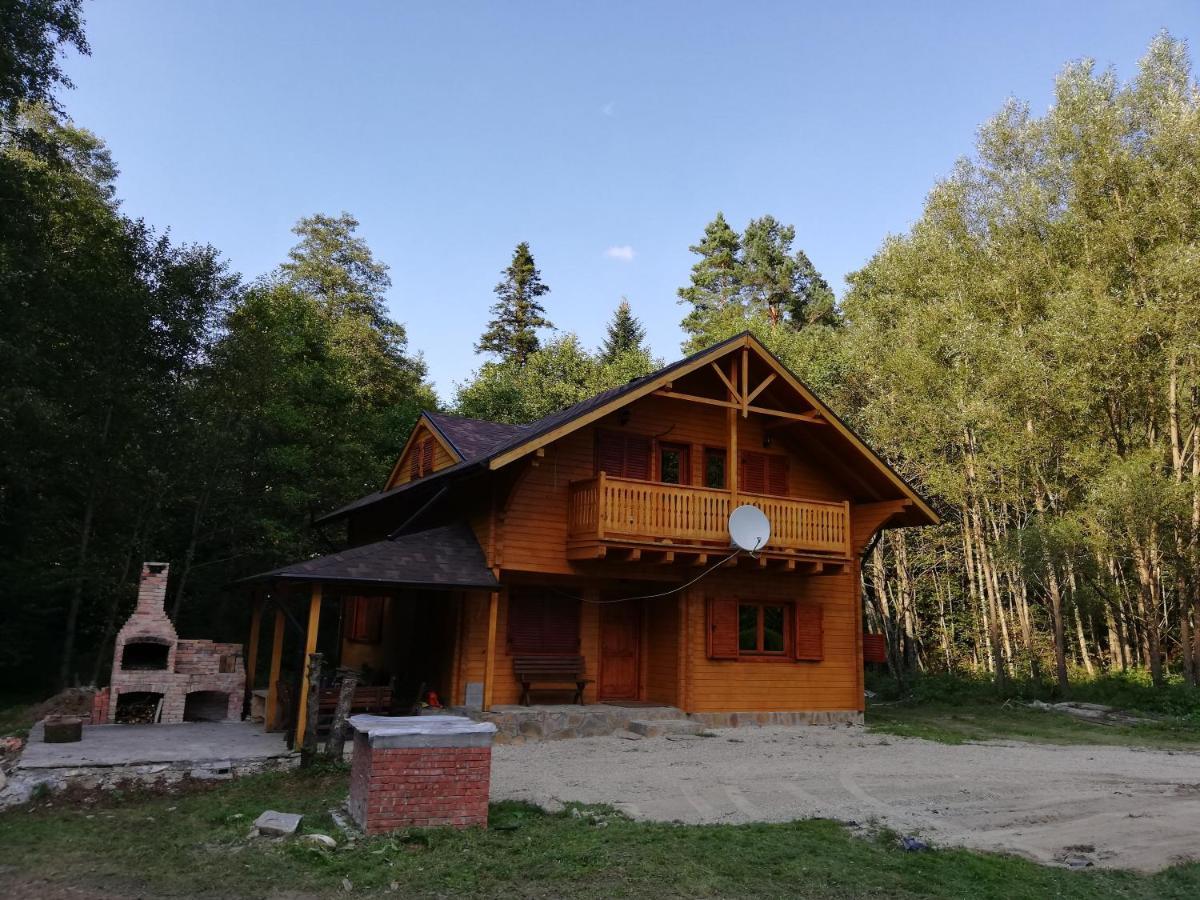 Chalet By The River Văliug 外观 照片