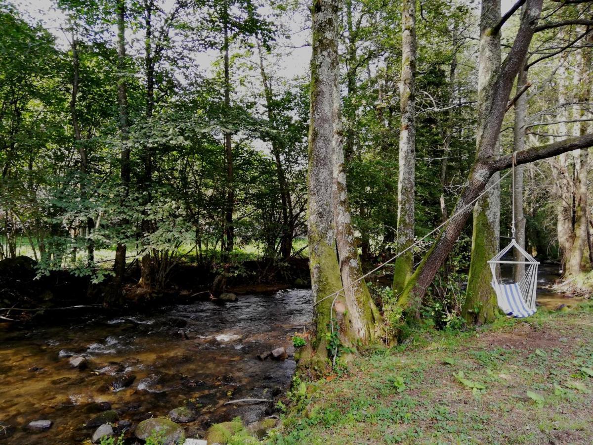 Chalet By The River Văliug 外观 照片