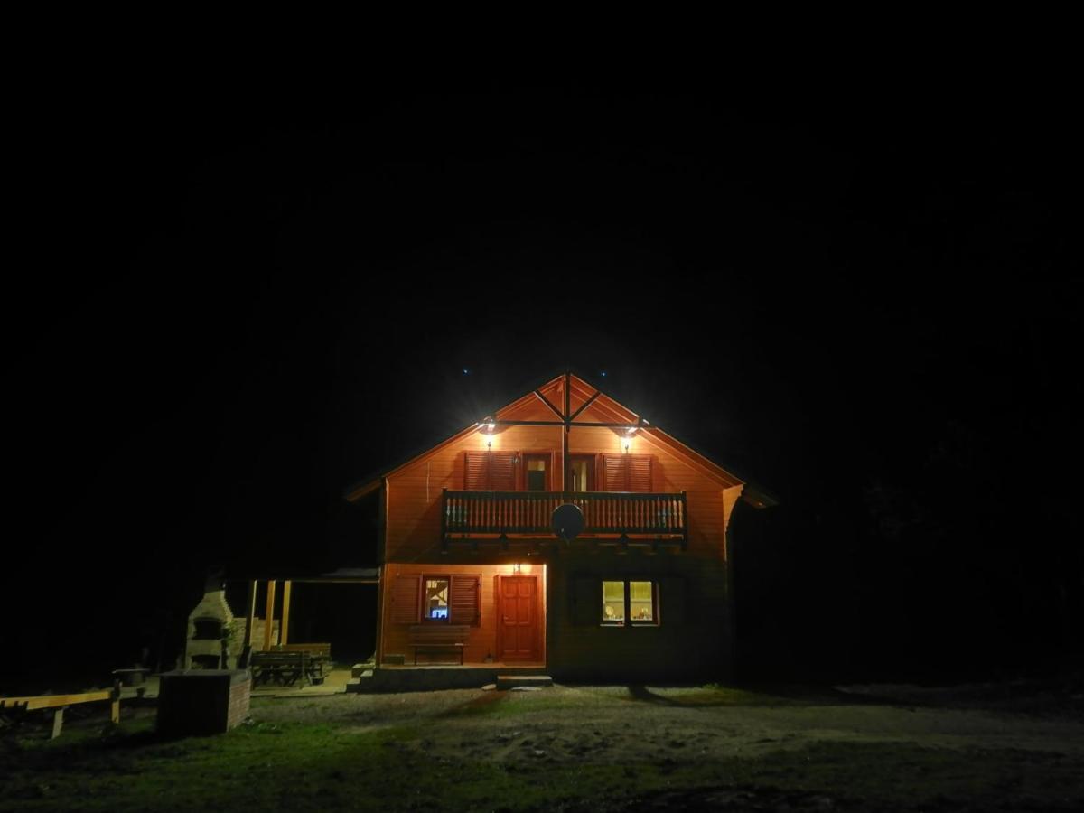 Chalet By The River Văliug 外观 照片