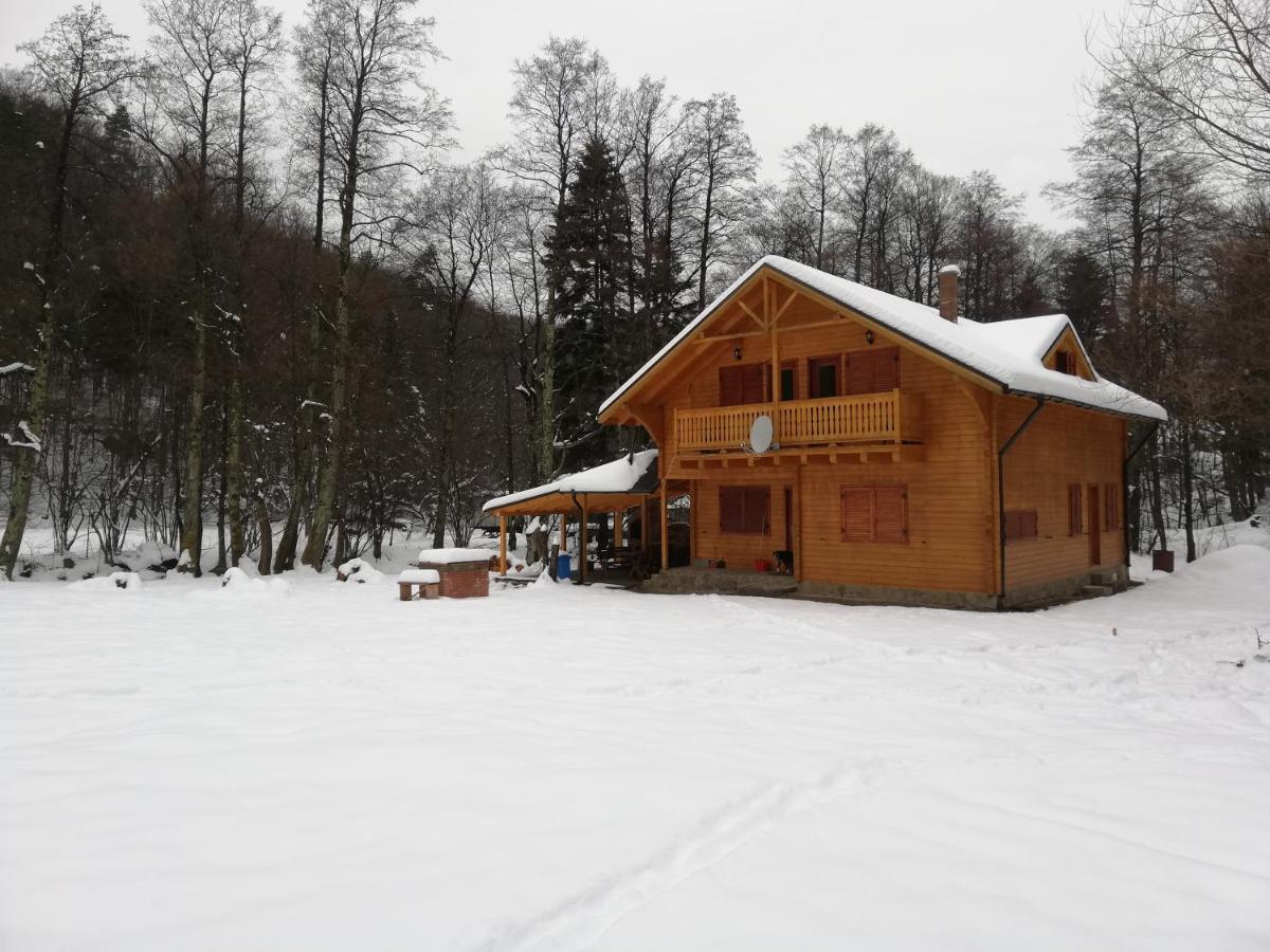 Chalet By The River Văliug 外观 照片