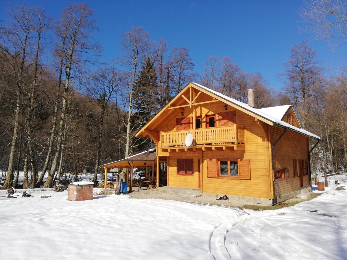 Chalet By The River Văliug 外观 照片