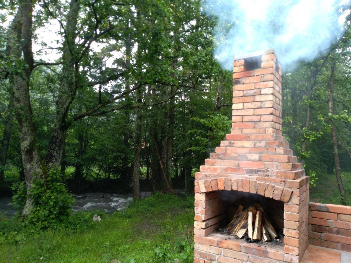 Chalet By The River Văliug 外观 照片