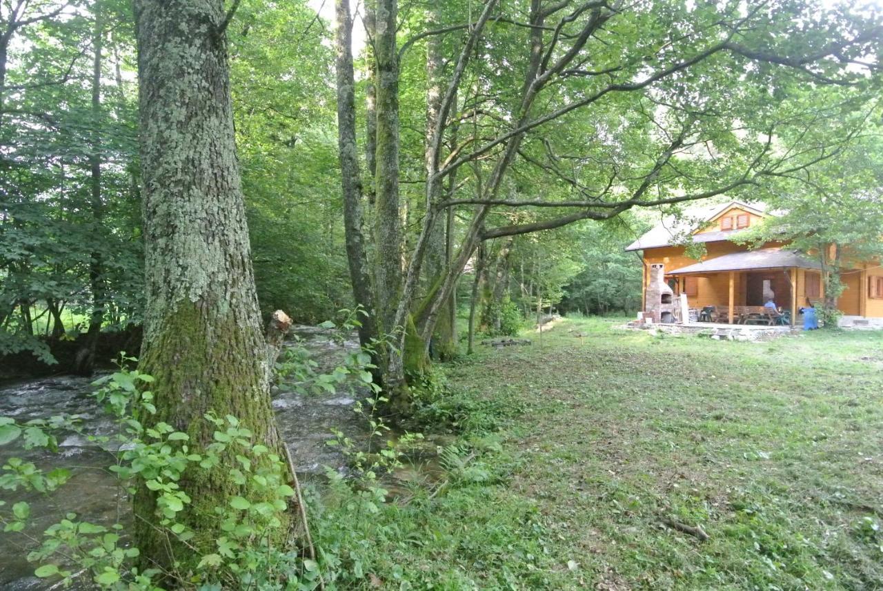 Chalet By The River Văliug 外观 照片
