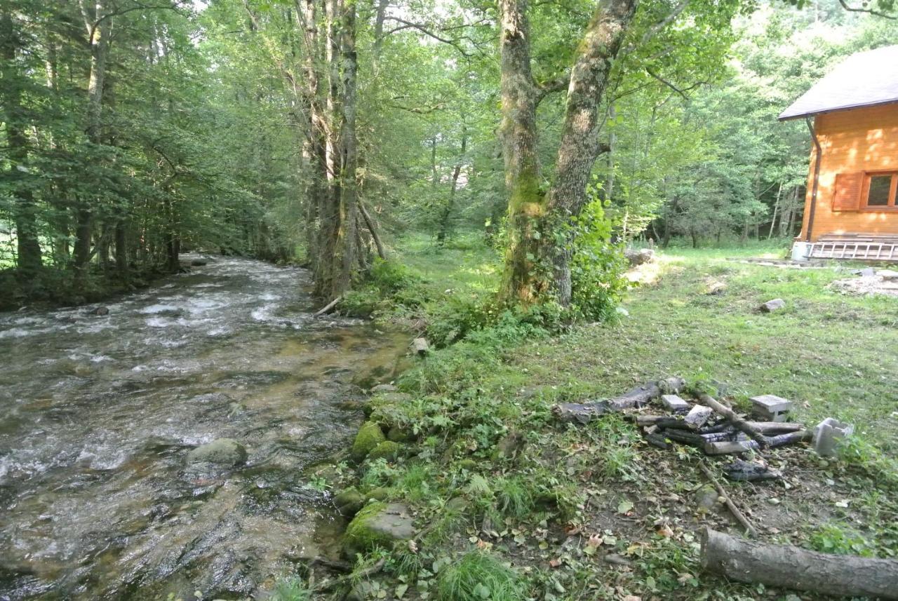 Chalet By The River Văliug 外观 照片