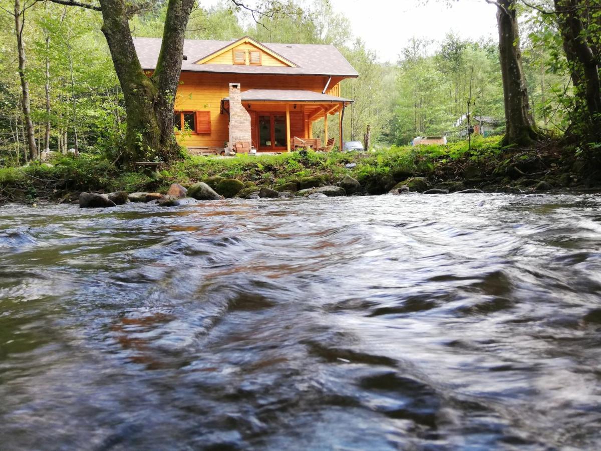 Chalet By The River Văliug 外观 照片