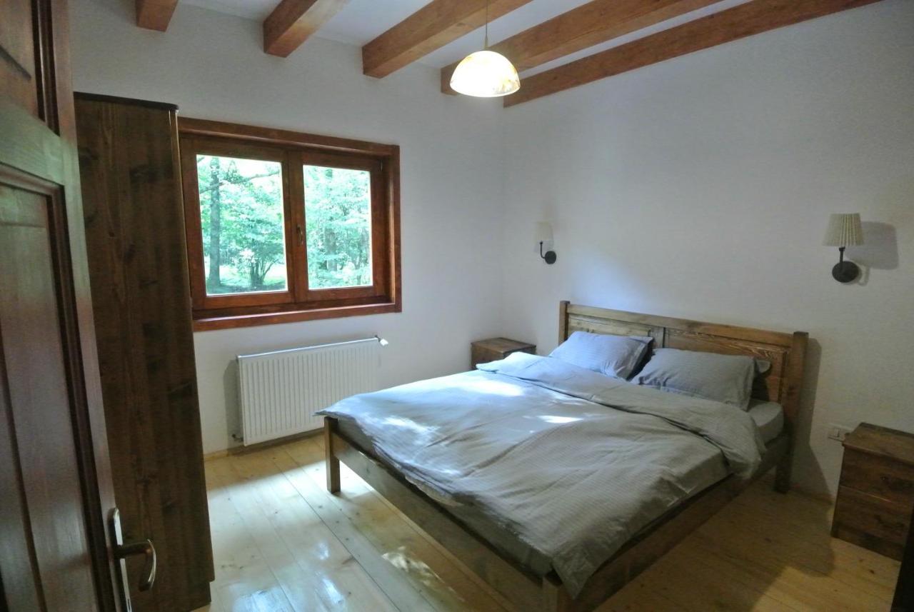 Chalet By The River Văliug 外观 照片