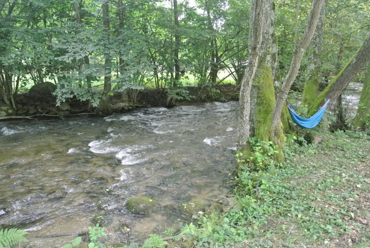 Chalet By The River Văliug 外观 照片