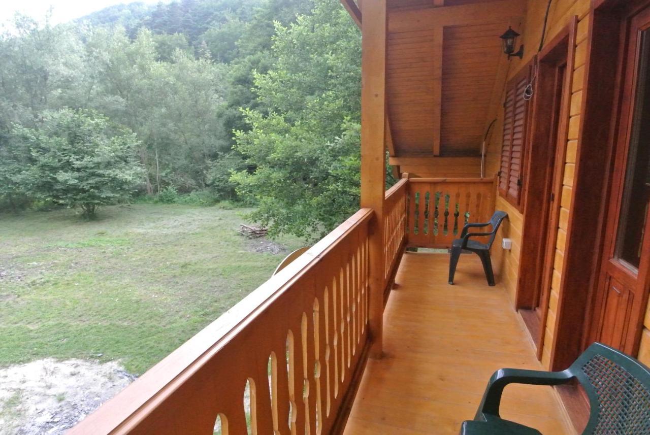 Chalet By The River Văliug 外观 照片